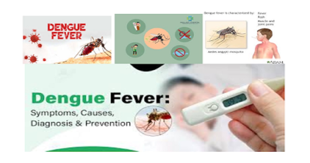 Virus for Dengue Fever, Causes, Symptoms, Treatment, and Prevention